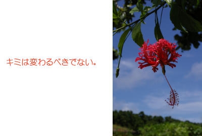 �����葱���ɂ������k�������B